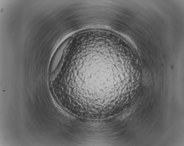 X0000083070895200702161819