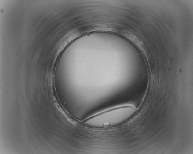 X0000083070898200702161818