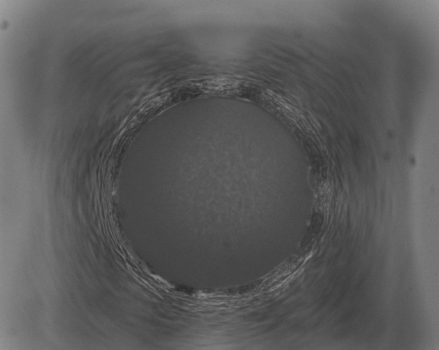 X0000083070913200702161817