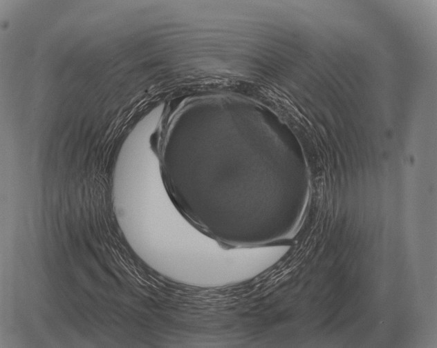 X0000083070916200702161818
