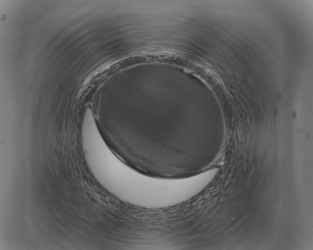 X0000083070920200702161818