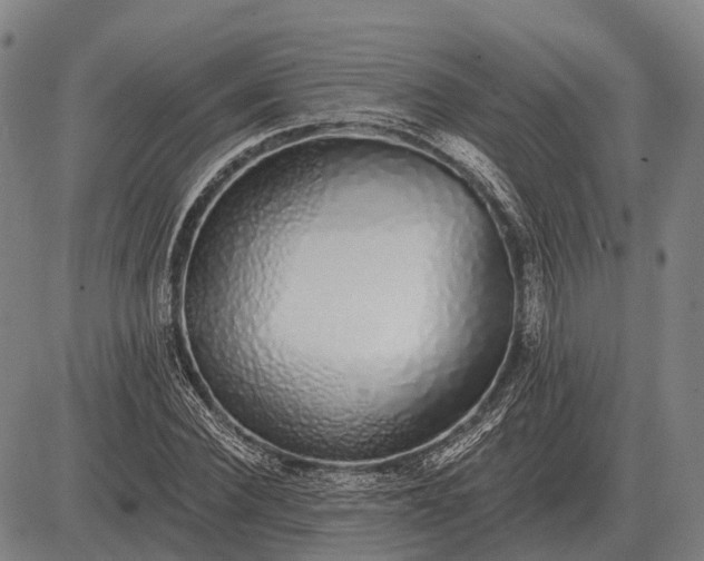 X0000083070924200702161818
