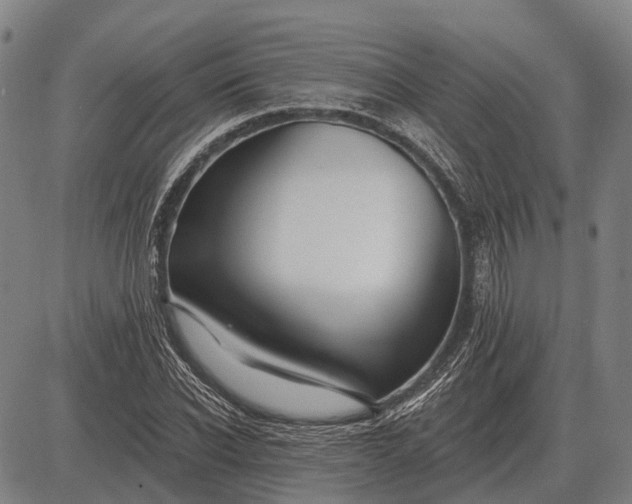 X0000083070926200702161818