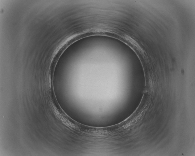 X0000083070934200702161818