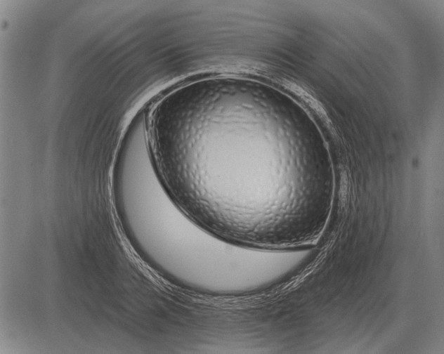 X0000083070936200702161818