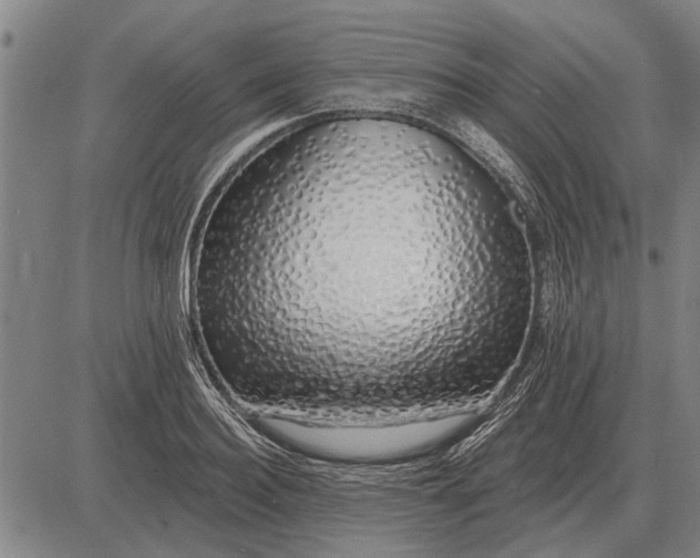 X0000083070940200702161818