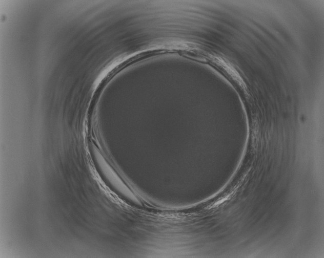 X0000083070944200702161818