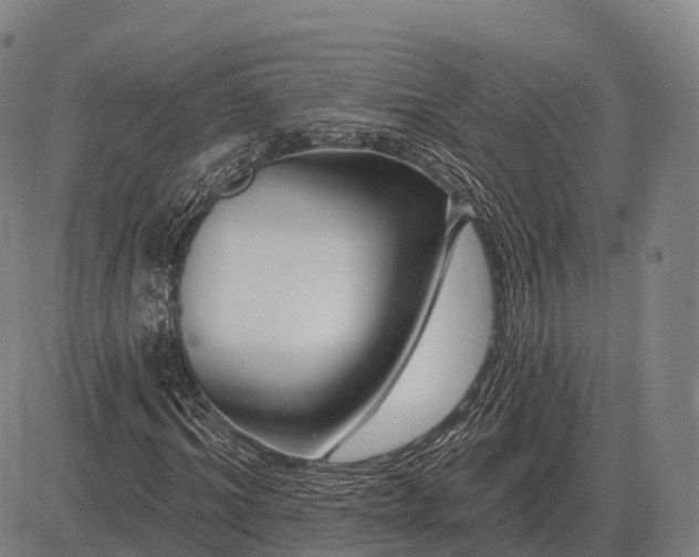 X0000083070964200702161817