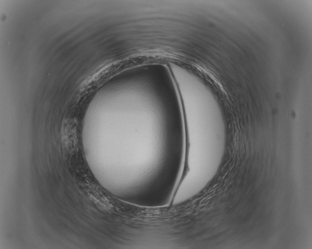 X0000083070968200702161817