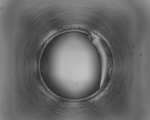 X0000083070969200702161817