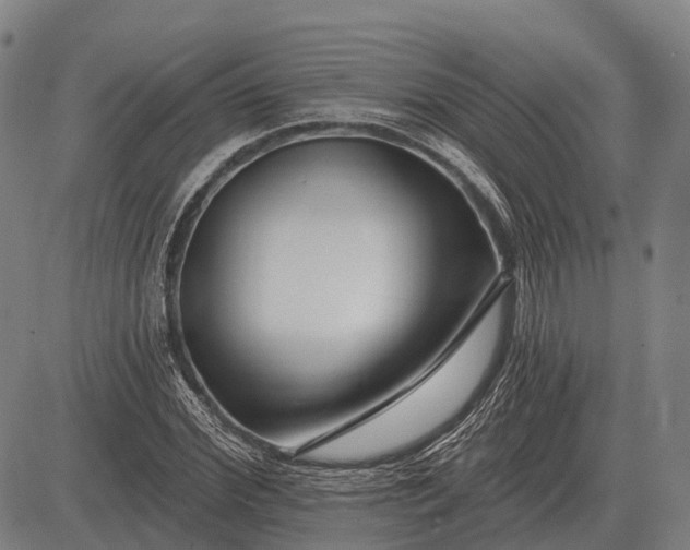 X0000083070972200702161817
