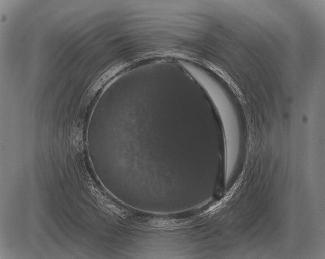 X0000083070977200702161817