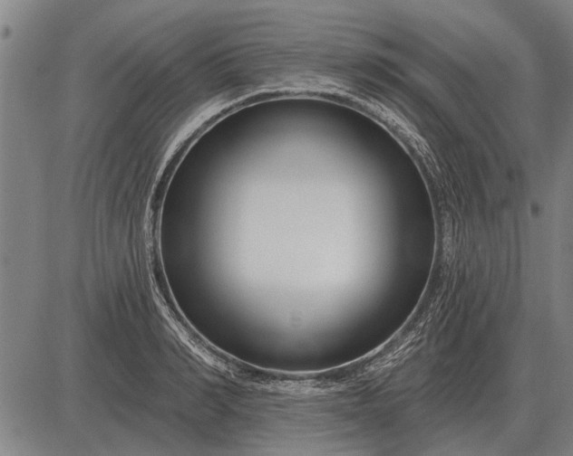 X0000083070990200702161817