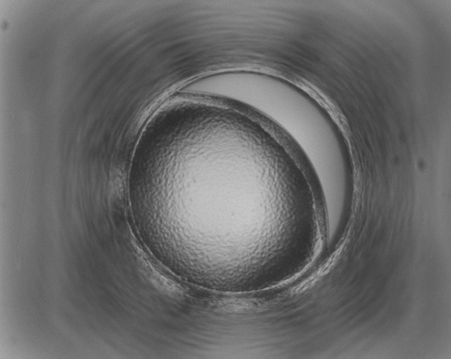 X0000083070993200702161817