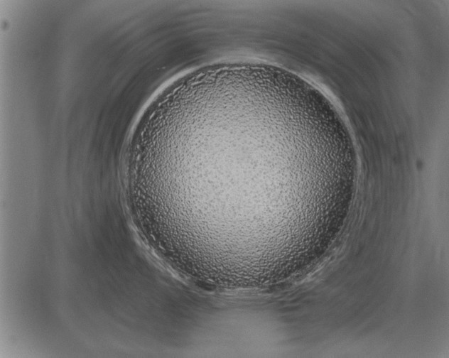 X0000083071008200702161817
