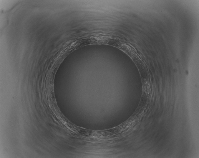 X0000083071009200702161816