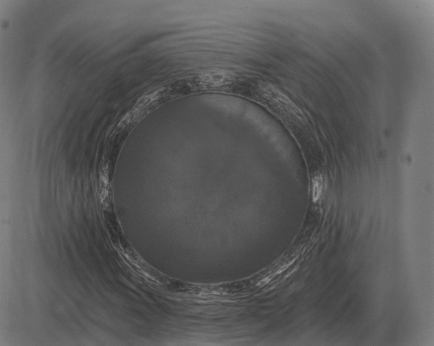 X0000083071011200702161816