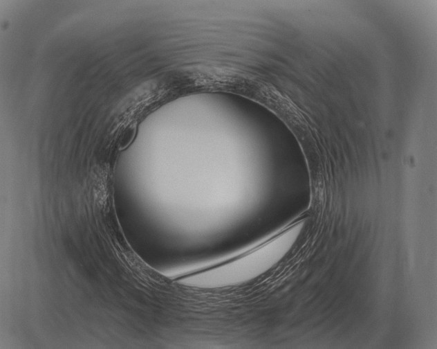 X0000083071012200702161816