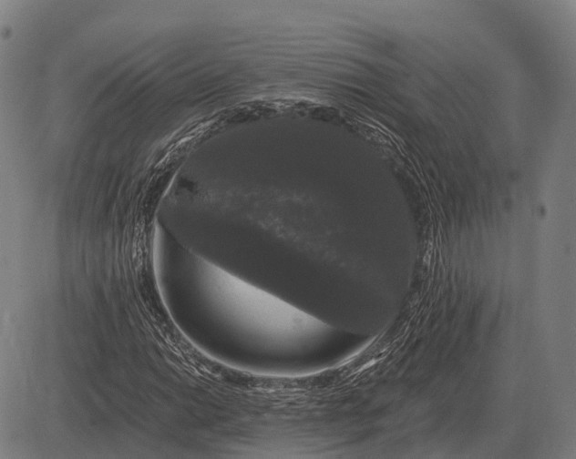 X0000083071014200702161816