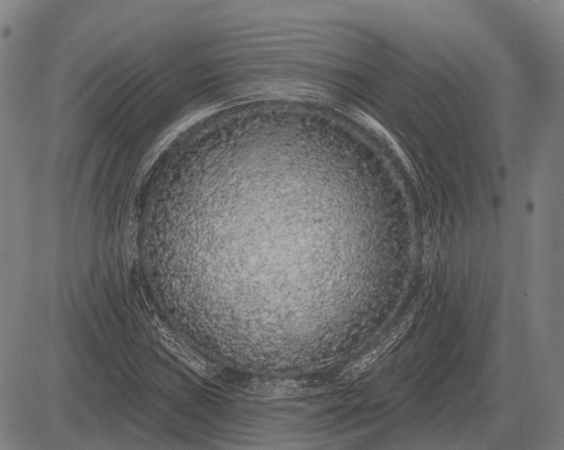 X0000083071019200702161816
