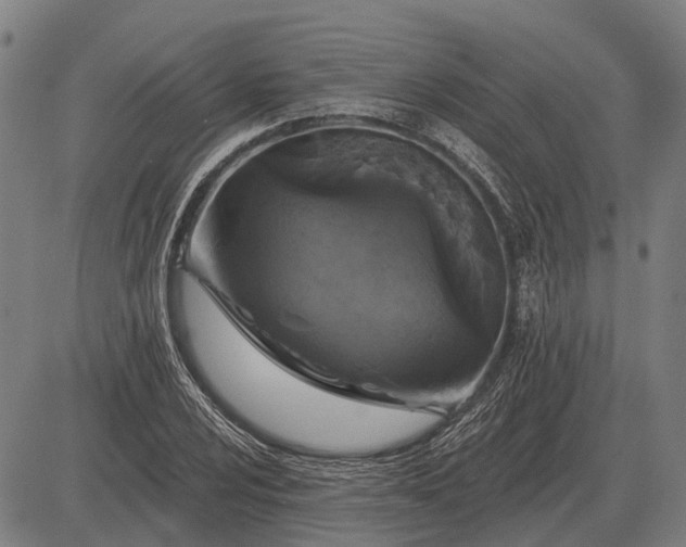 X0000083071024200702161816