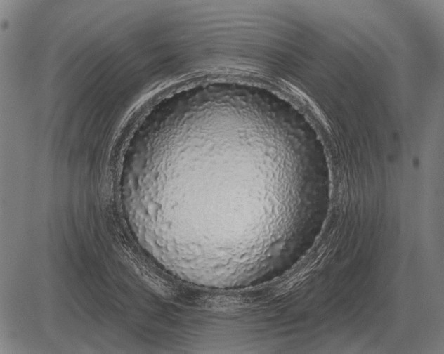 X0000083071027200702161816