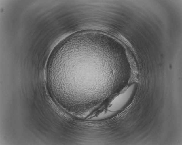 X0000083071028200702161816