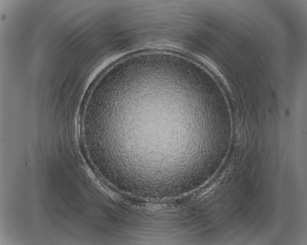 X0000083071032200702161816