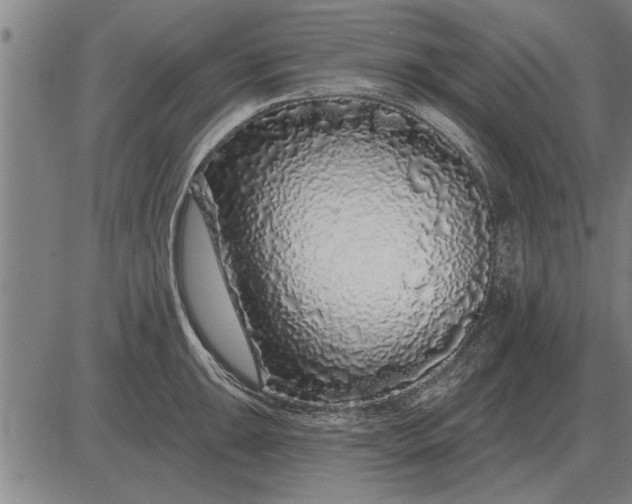 X0000083071047200702161817