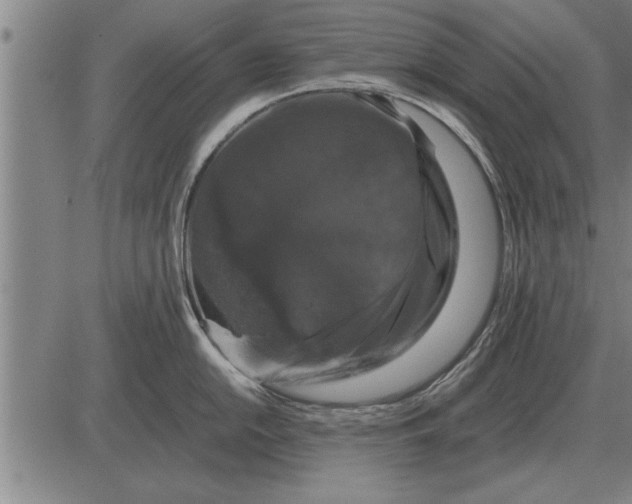 X0000083071054200702161817