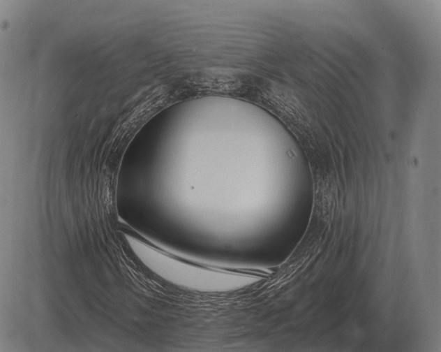 X0000083071058200702161816
