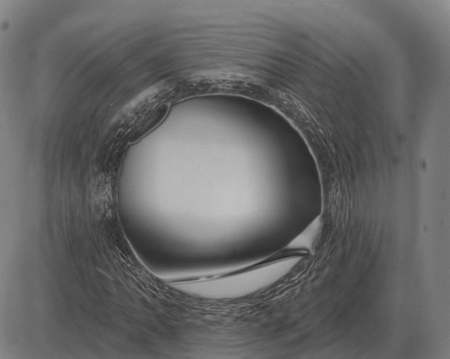 X0000083071062200702161816