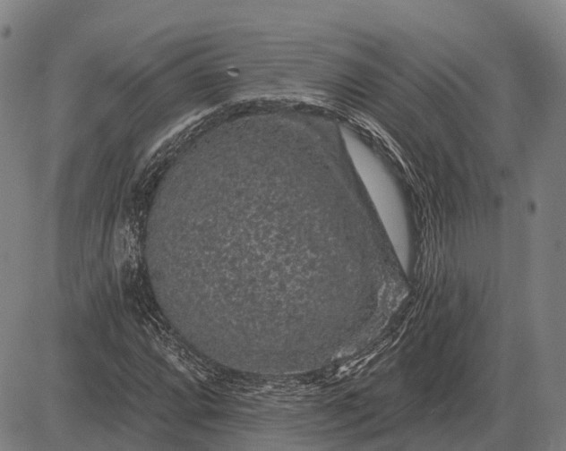 X0000083071064200702161816