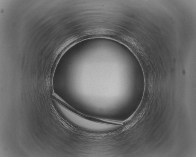 X0000083071073200702161816