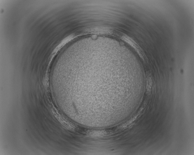 X0000083071074200702161816