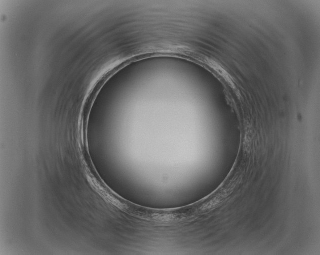 X0000083071080200702161816