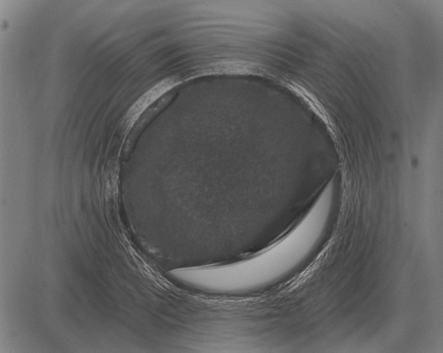 X0000083071081200702161815