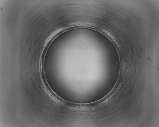 X0000083071082200702161815
