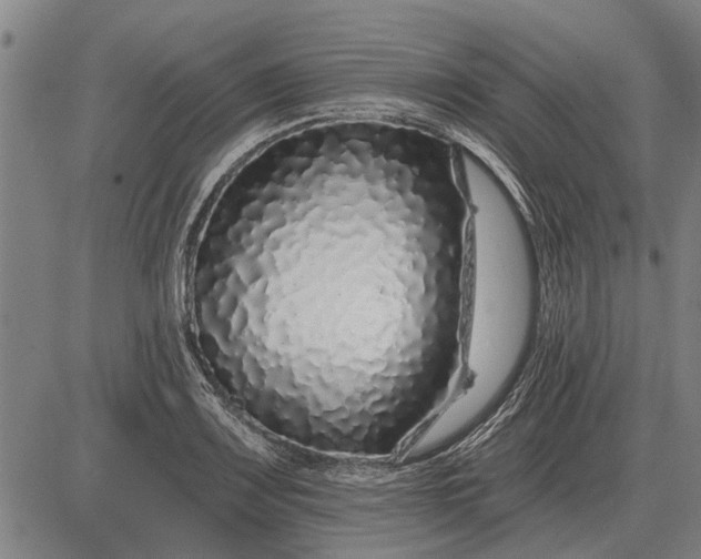 X0000083071083200702161815