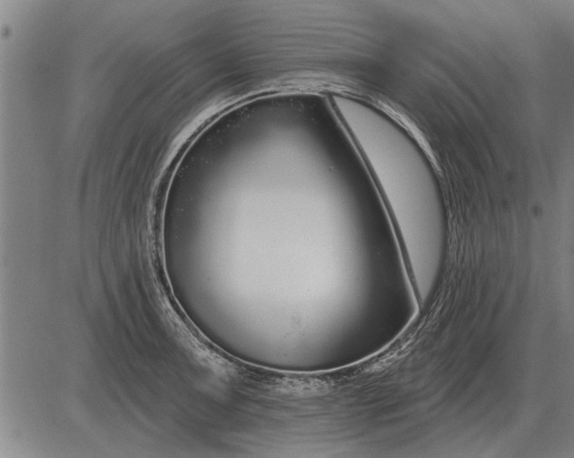 X0000083071091200702161815