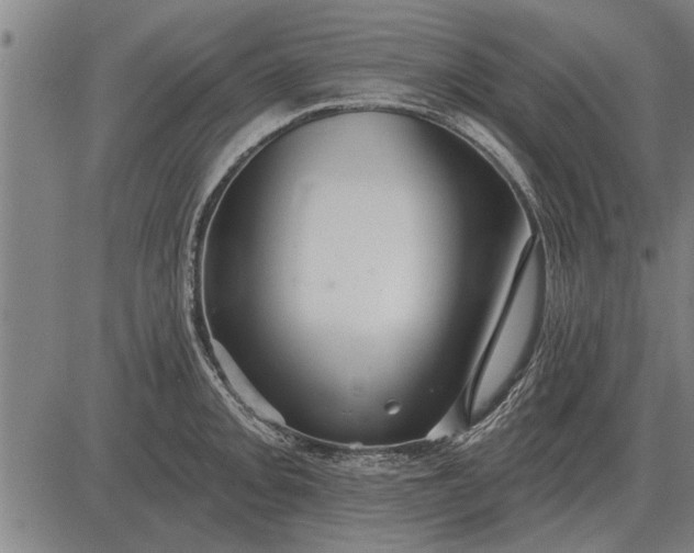 X0000083071093200702161815
