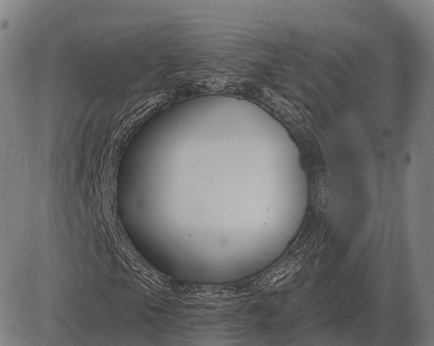 X0000083071105200702161814