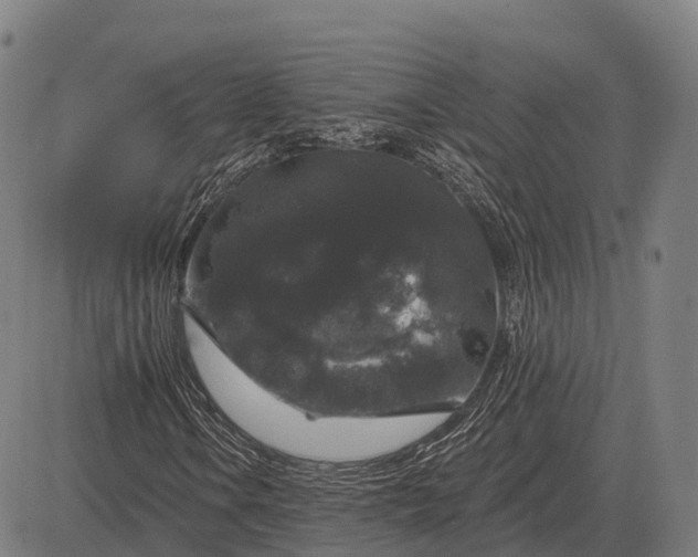 X0000083071106200702161814
