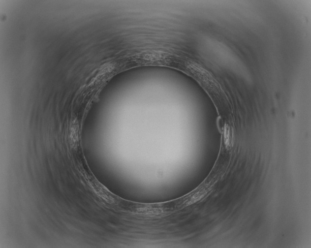 X0000083071107200702161814