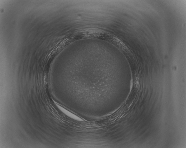 X0000083071108200702161814