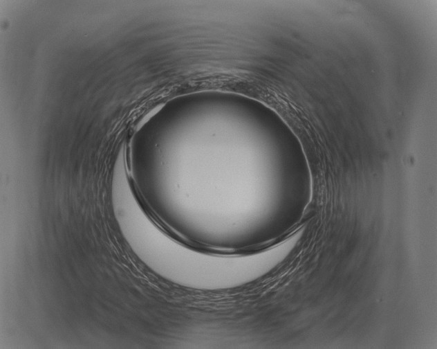 X0000083071109200702161814