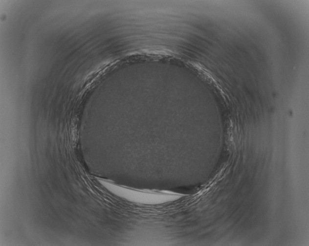X0000083071110200702161814