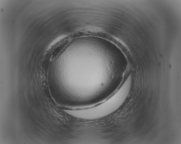X0000083071112200702161814