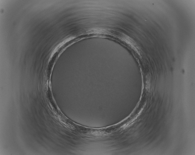 X0000083071117200702161815