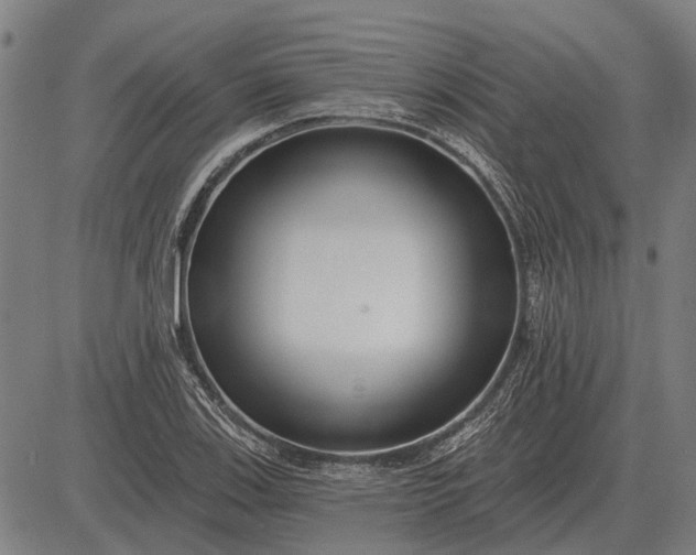 X0000083071123200702161815